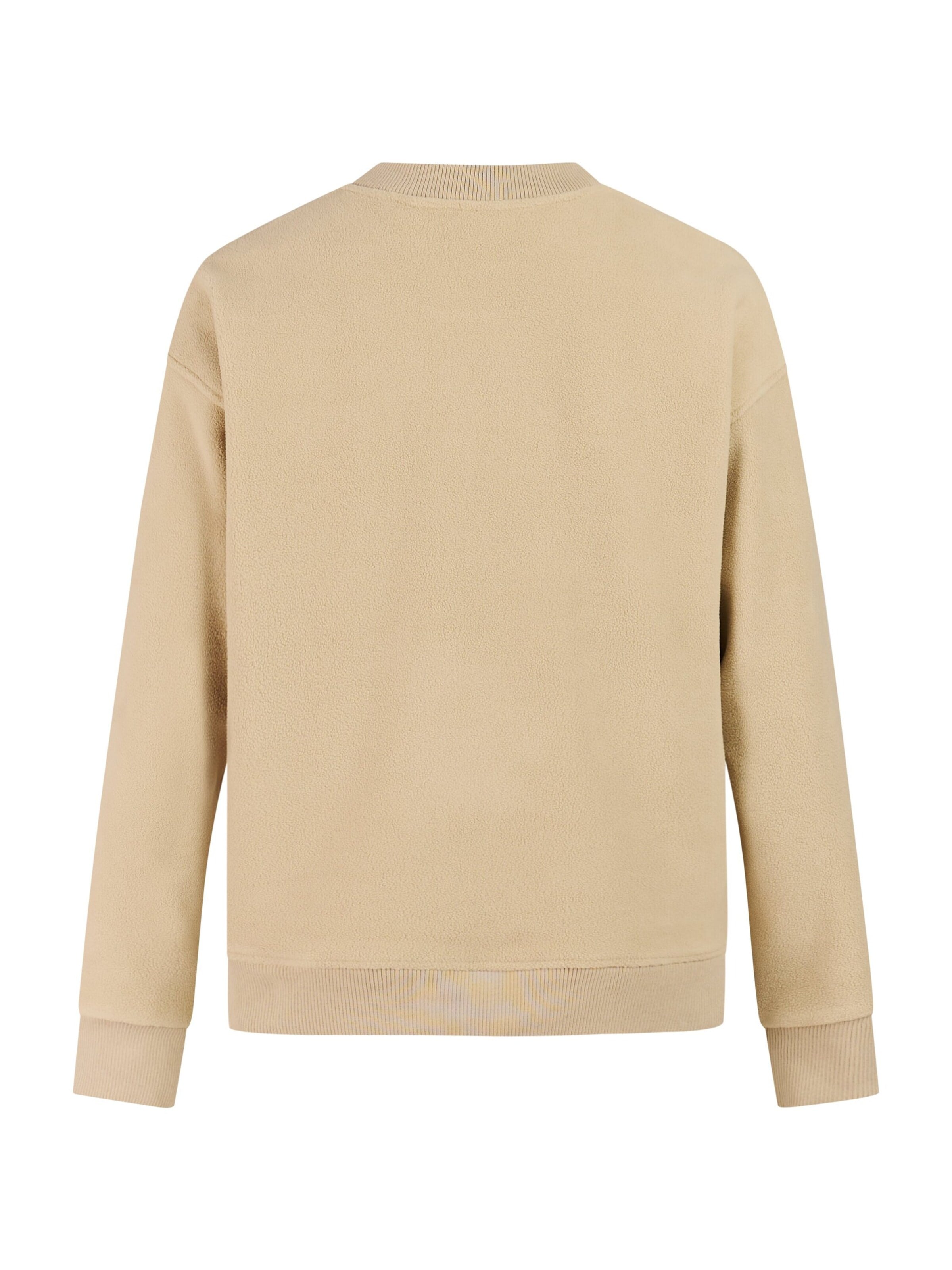 PROTEST Pullover 'PRTHawks'‌‌‌‌‌‌‌‌ in Braun