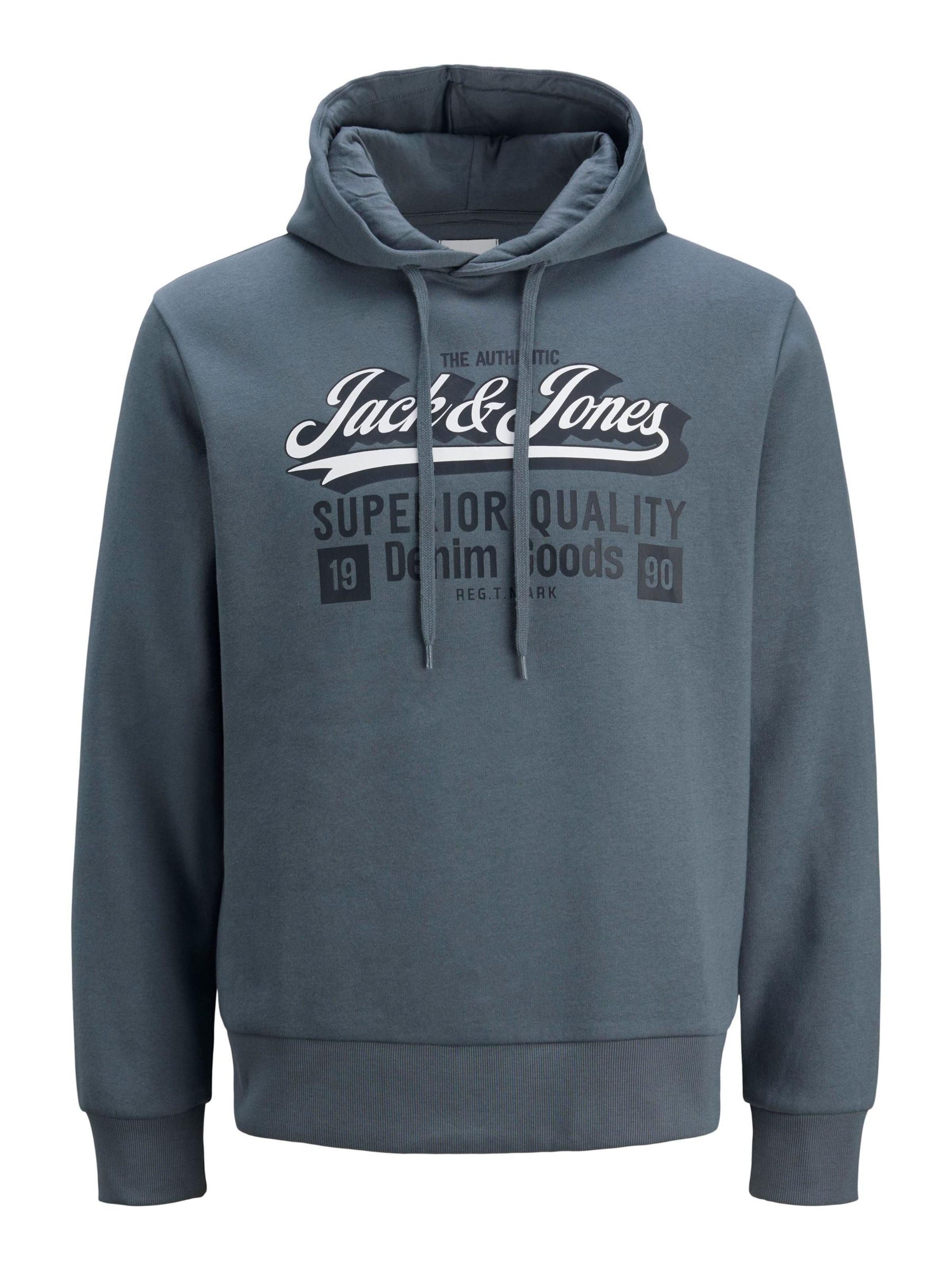 Jack & Jones Plus - Sudadera en gris: frente