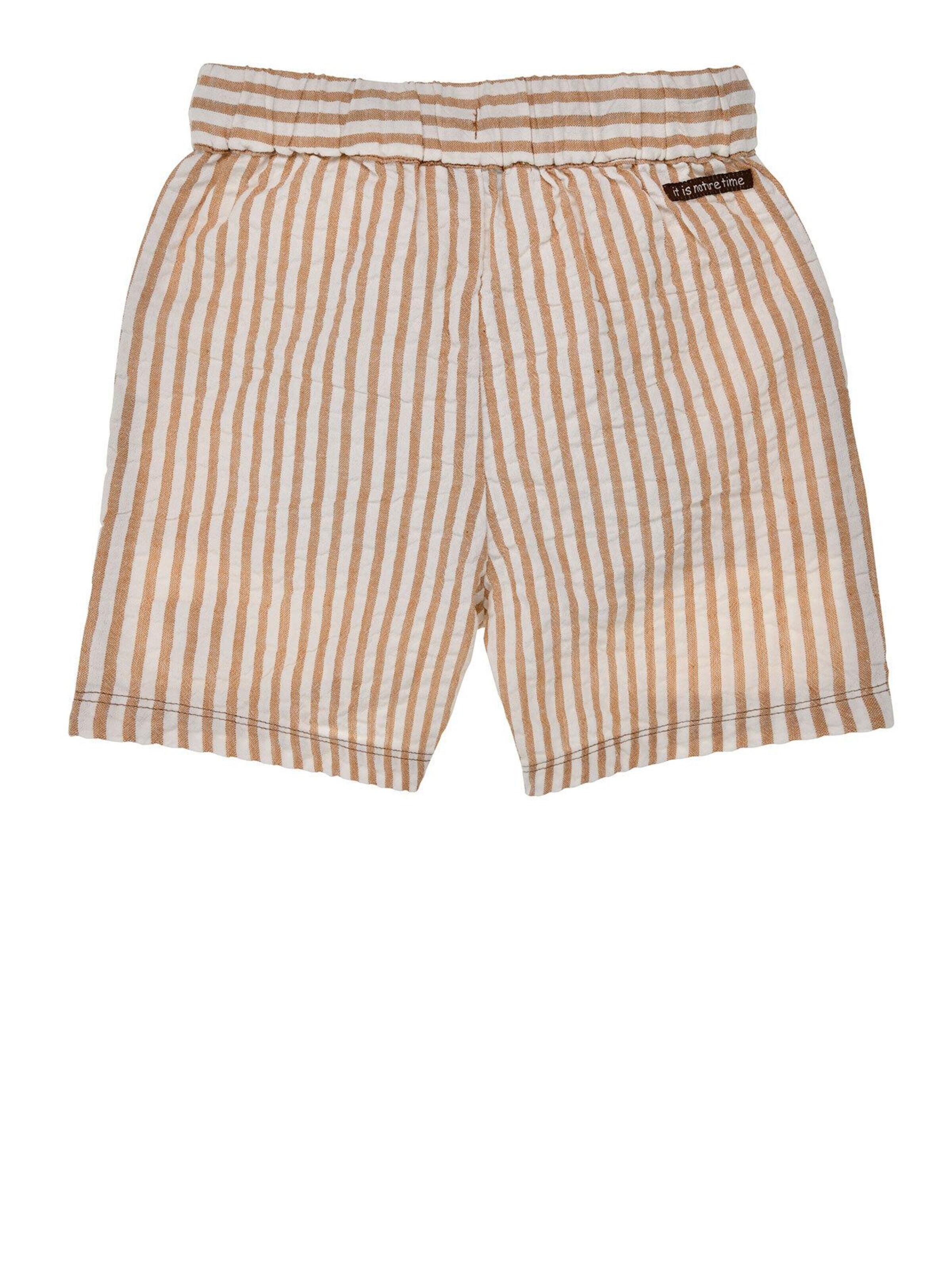 BONDI Regular Pants in Brown