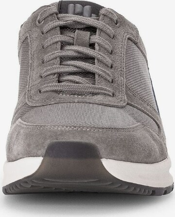 Pius Gabor Sneaker in Grau