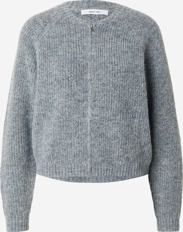 pelēks ABOUT YOU Adīta jaka 'Lacey': no priekšpuses