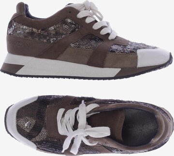 Marc Cain Sneakers & Trainers in 37 in Brown: front