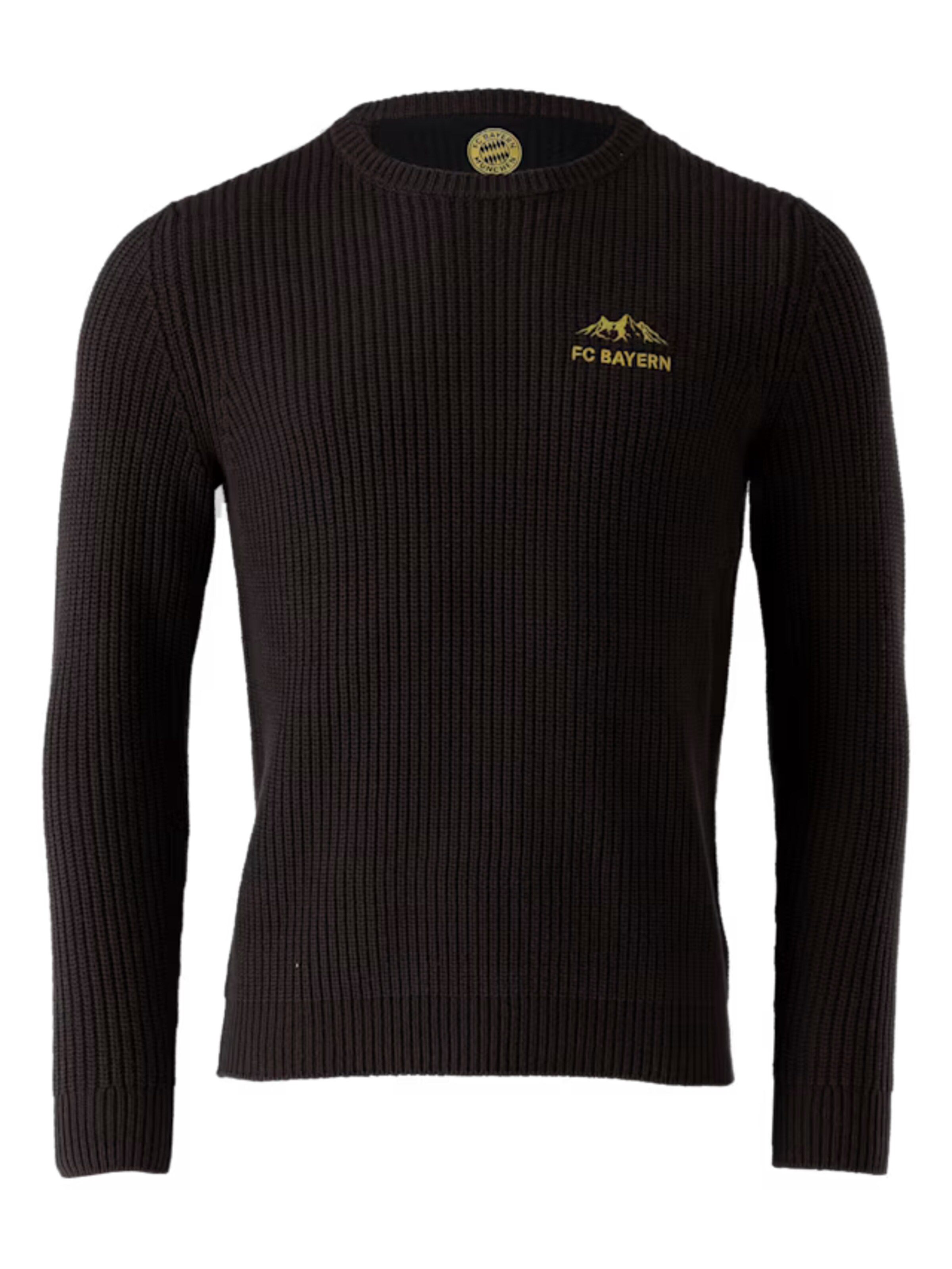 FC BAYERN MÜNCHEN Sweater in Black: front