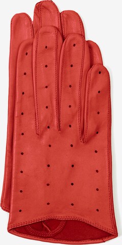 Gretchen Full Finger Gloves 'Summer Gloves' in Orange: front