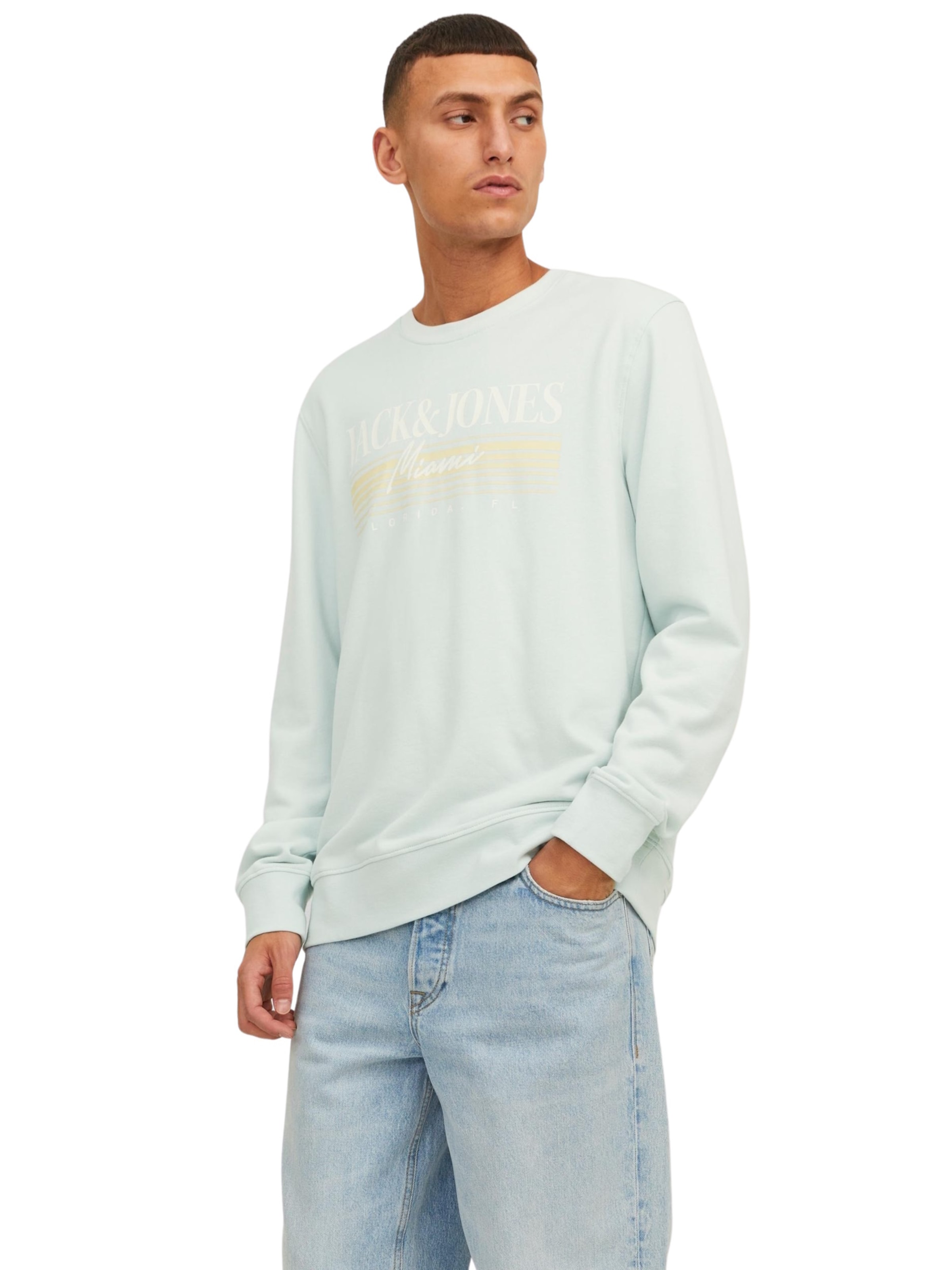 JACK & JONES Mikina 'JORPalma' – zelená: přední strana