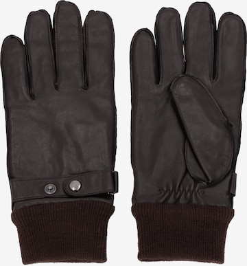 JOOP! Full Finger Gloves in Brown: front