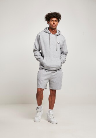 SOUTHPOLE Sweatshirt in Grey