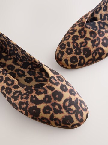 Next Ballerina in Bruin