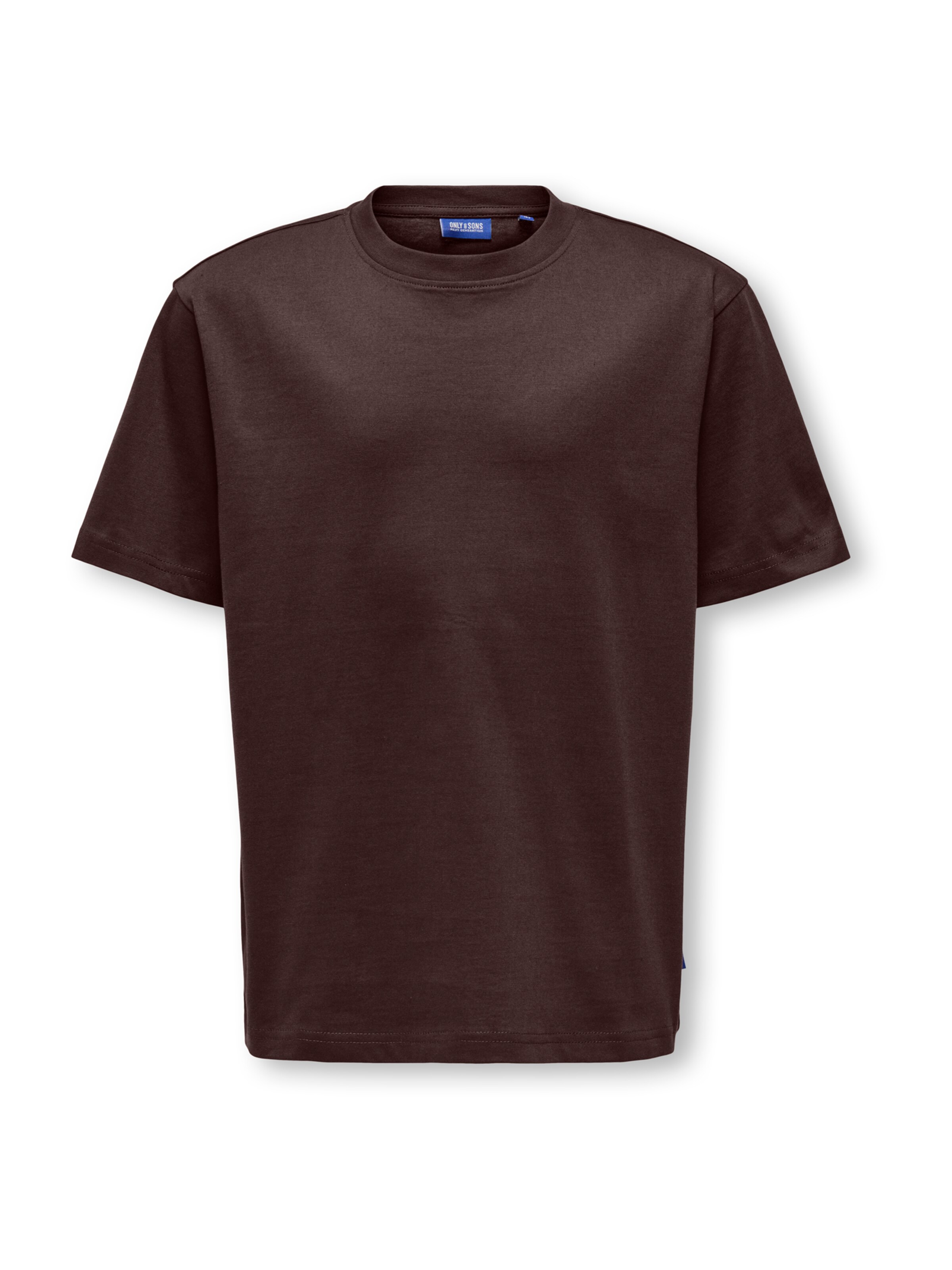 Only & Sons Junior T-Shirt 'OSJFRED' in Braun: Vorderseite