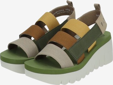 FLY LONDON Sandals in Mixed colors