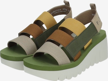 FLY LONDON Sandals in Mixed colors