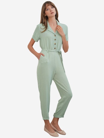 Bigdart Jumpsuit in Green: front