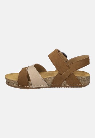 JOSEF SEIBEL Sandale 'Hannah 01' in Braun