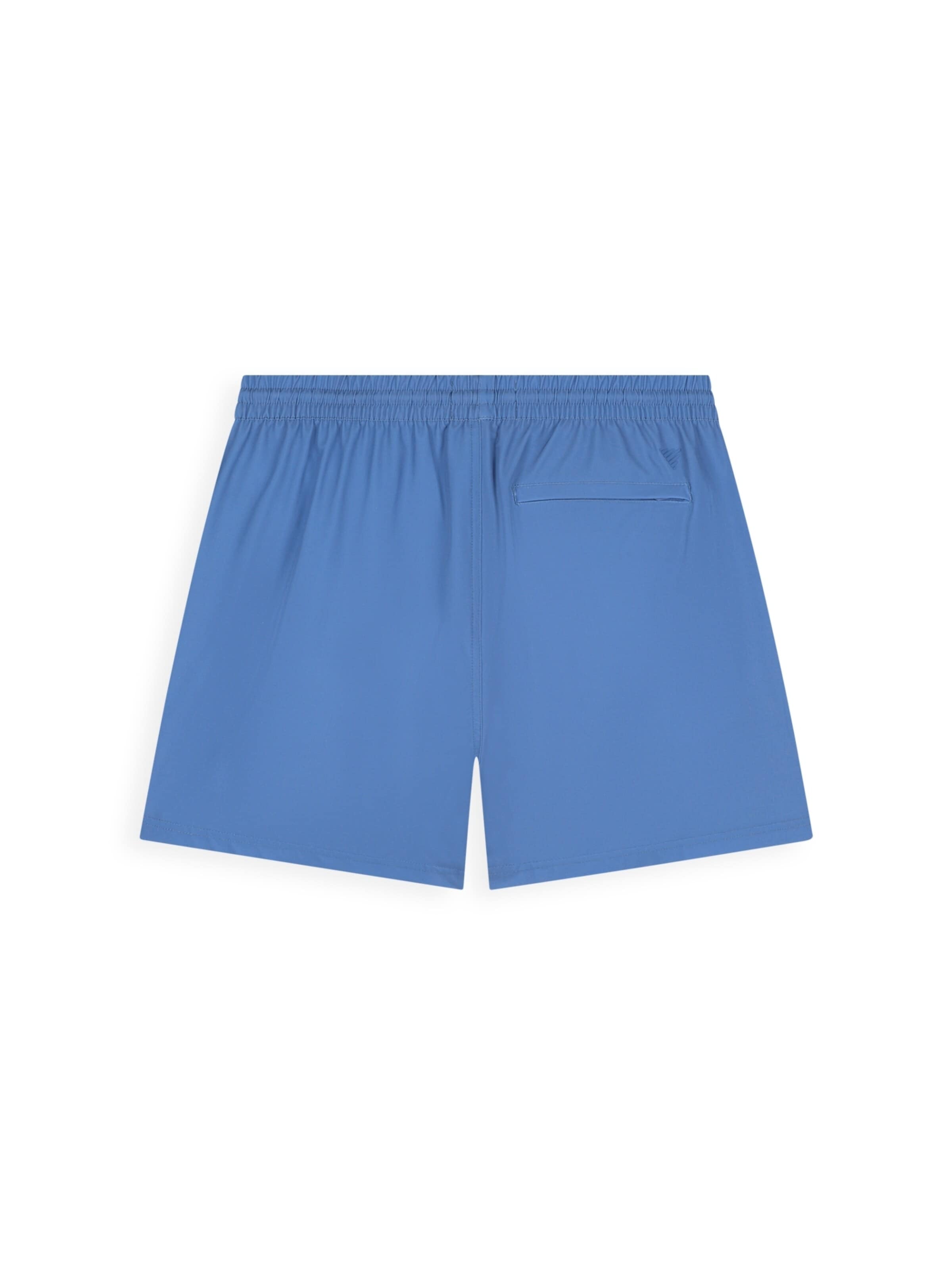 Pure Path Board Shorts in Blue