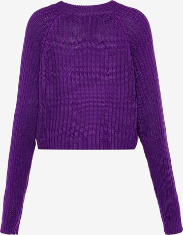 Libbi Sweater in Purple
