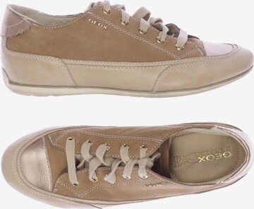 GEOX Sneakers & Trainers in 37 in Beige: front
