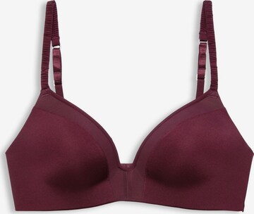 ESPRIT T-shirt Bra in Red: front