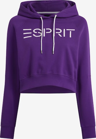 ESPRIT Sweatshirt in Lila: predná strana