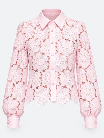 Ombre Blus i rosa: framsida