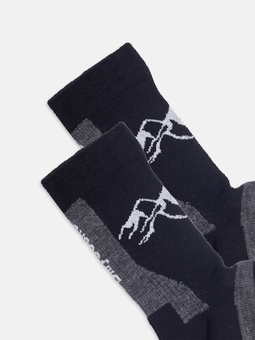Chaussettes de sport 'Active Merino ' DillySocks en noir