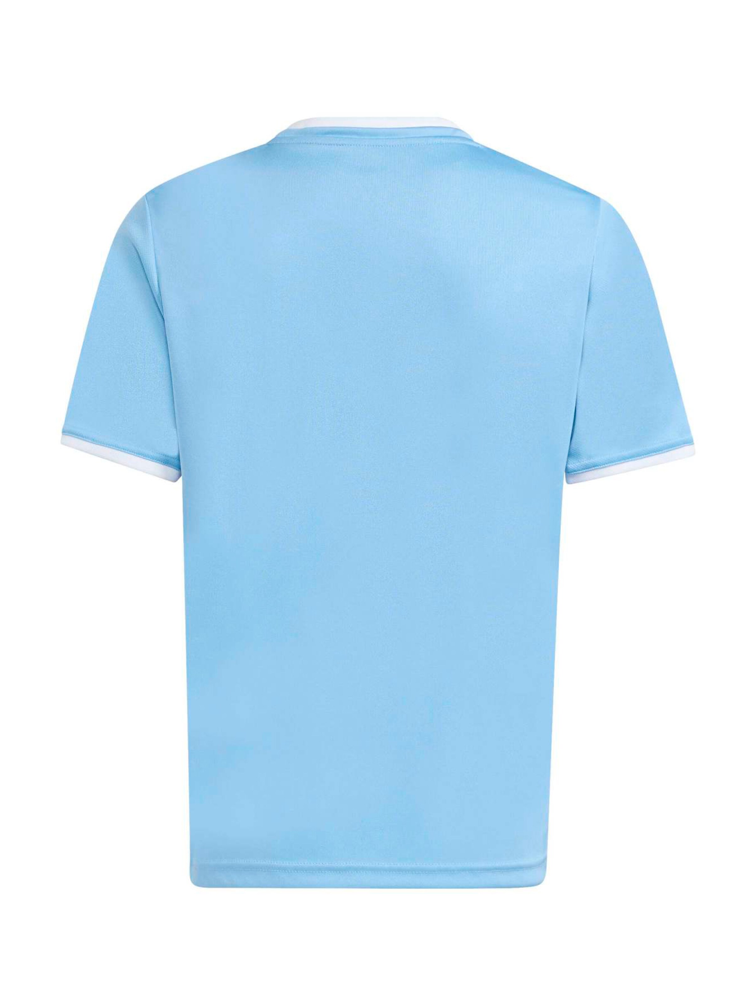 ADIDAS PERFORMANCE Функциональная футболка 'ENT26' в Синий