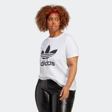 T-shirt 'Adicolor Classics Trefoil ' ADIDAS ORIGINALS en blanc : devant