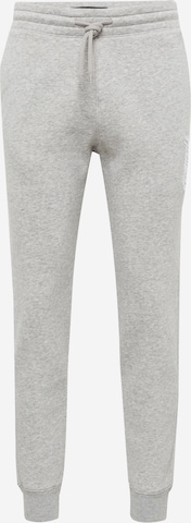 Pantalon HOLLISTER en gris : devant
