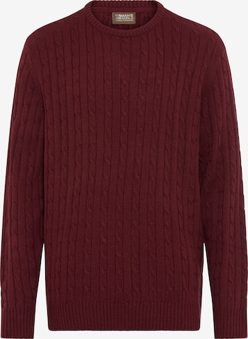 Man's World Pullover in Rot: Vorderseite