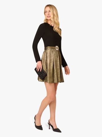 Adrianna Papell Cocktailjurk in Gemengde kleuren