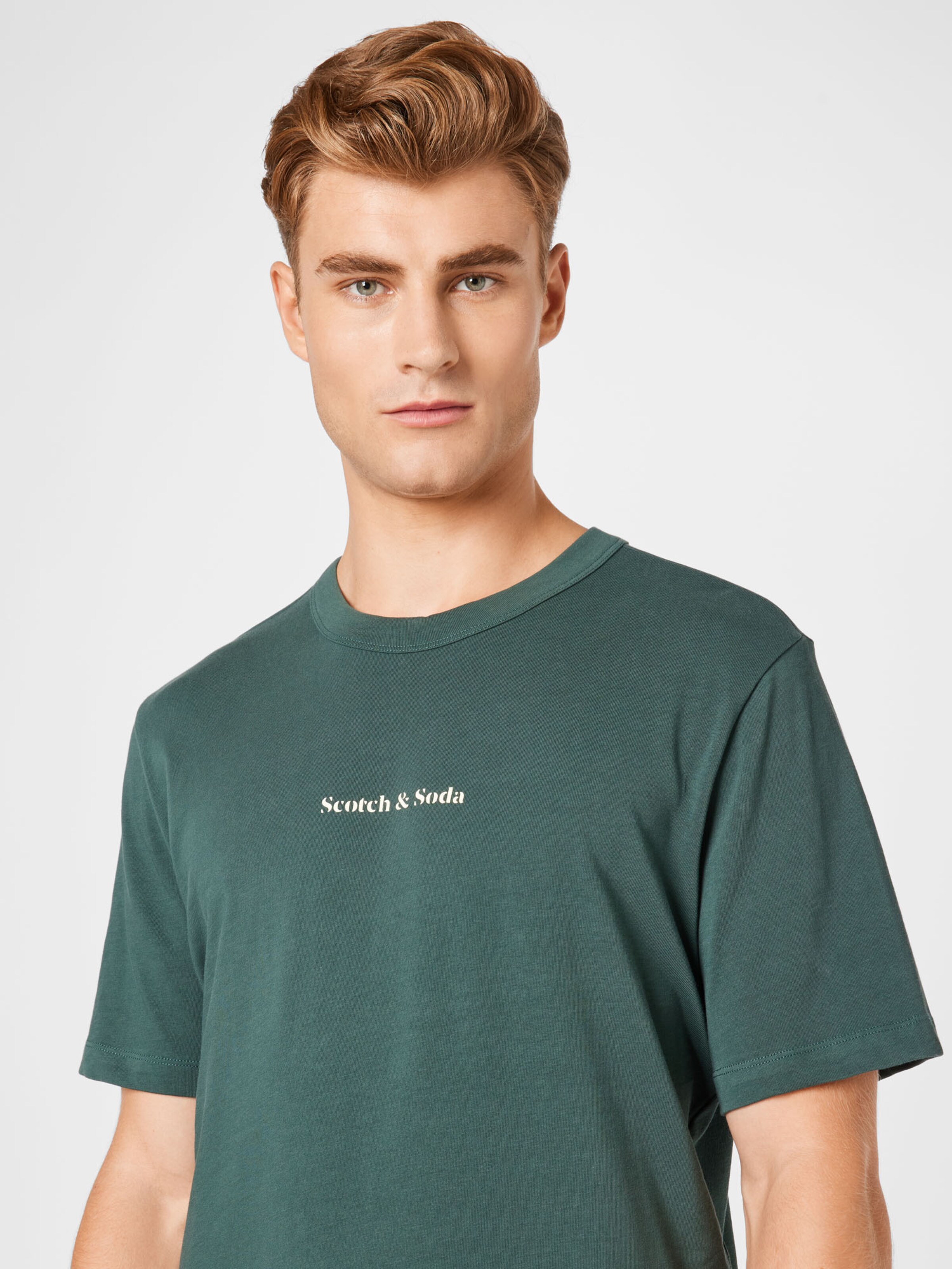 Homme T-Shirt SCOTCH & SODA en Vert 