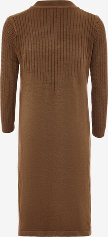 Jalene Knitted dress in Brown