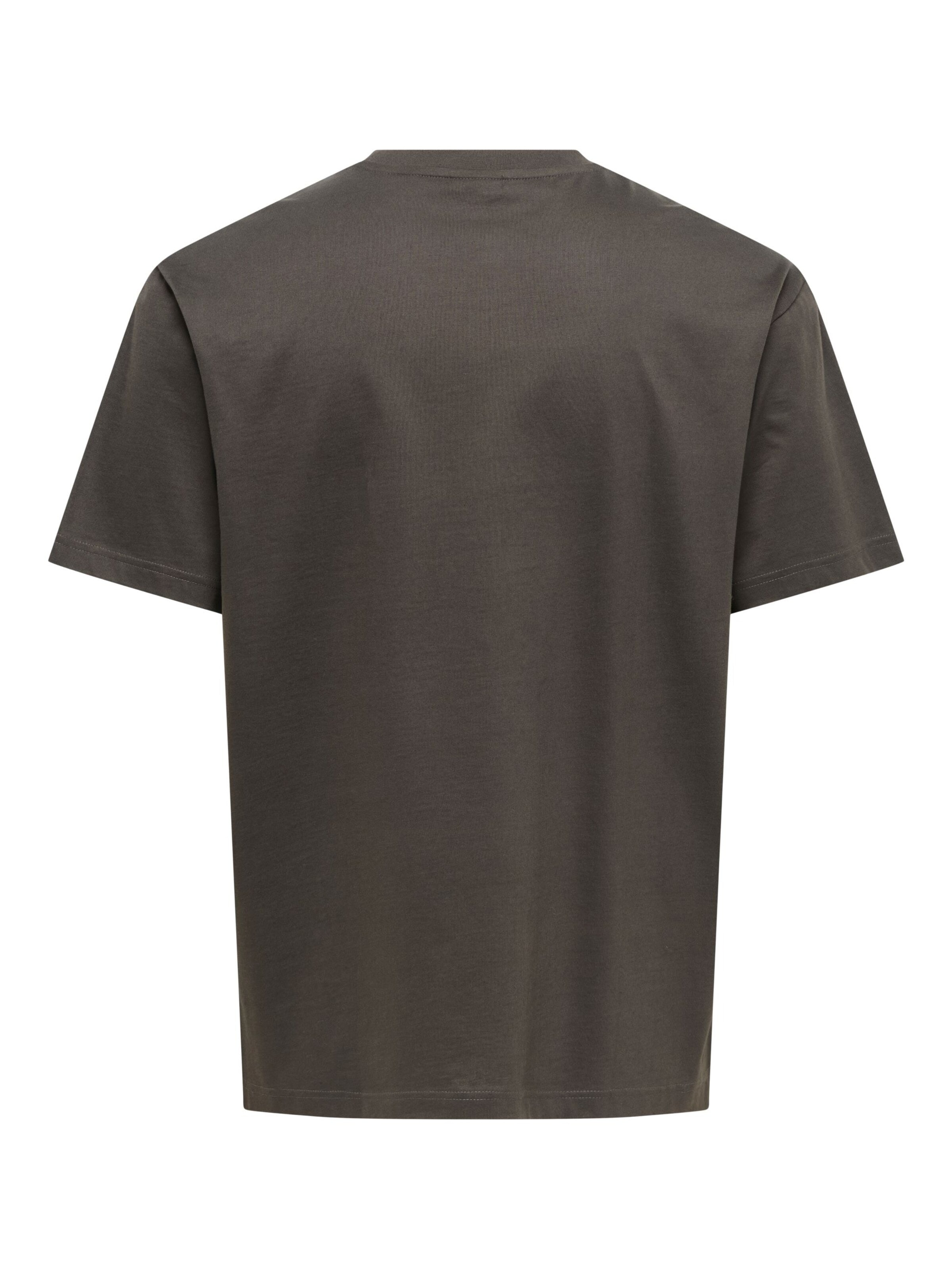 Only & Sons Koszulka '22022532' w kolorze szary