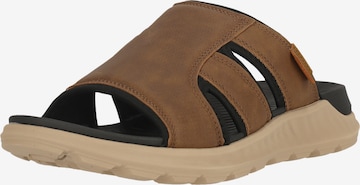 Whistler Sandalen 'Keisen' in Braun: Vorderseite