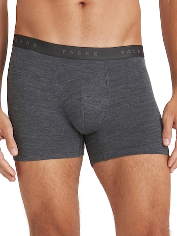 FALKE Boxer shorts in Grey: front
