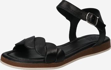 Apple of Eden Strap Sandals 'INEZ' in Black: front