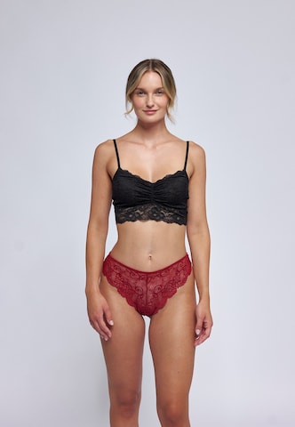 SNOCKS Panty in Red: front