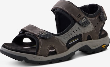 CAMEL ACTIVE Sandale in Grau: Vorderseite