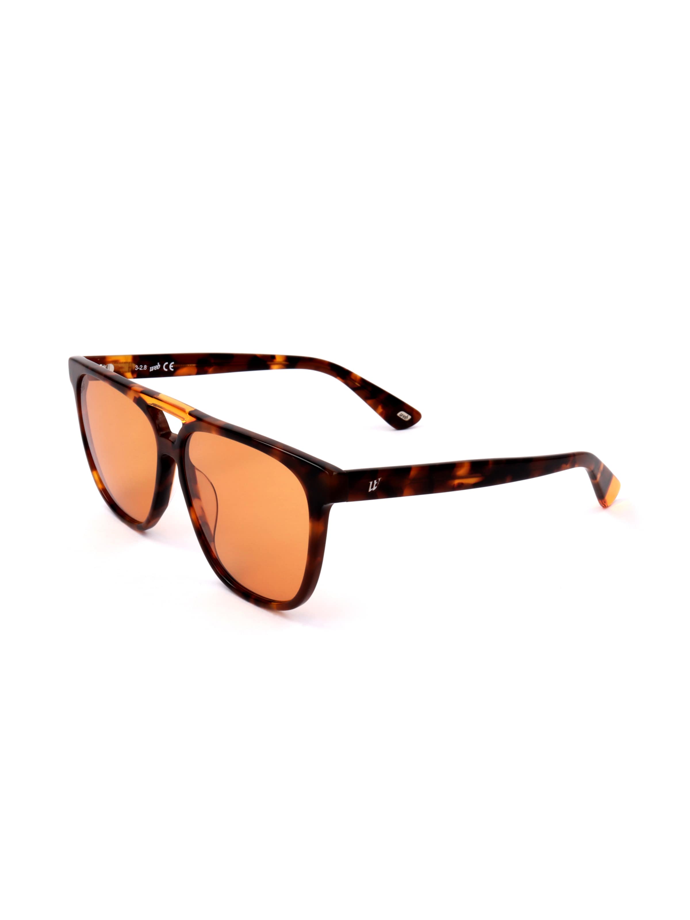 Occhiali da sole 'WE0263' di Web Eyewear in marrone: frontale