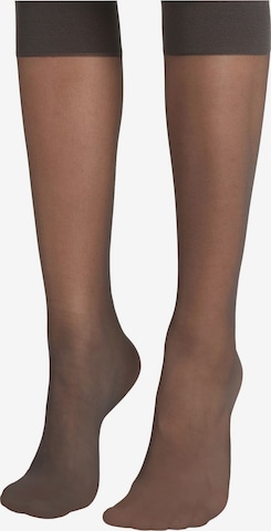 CALZEDONIA Knee High Socks in Grey: front