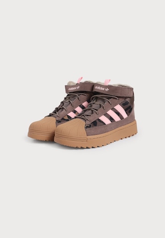 ADIDAS ORIGINALS Ketsid 'SUPERSTAR', värv pruun