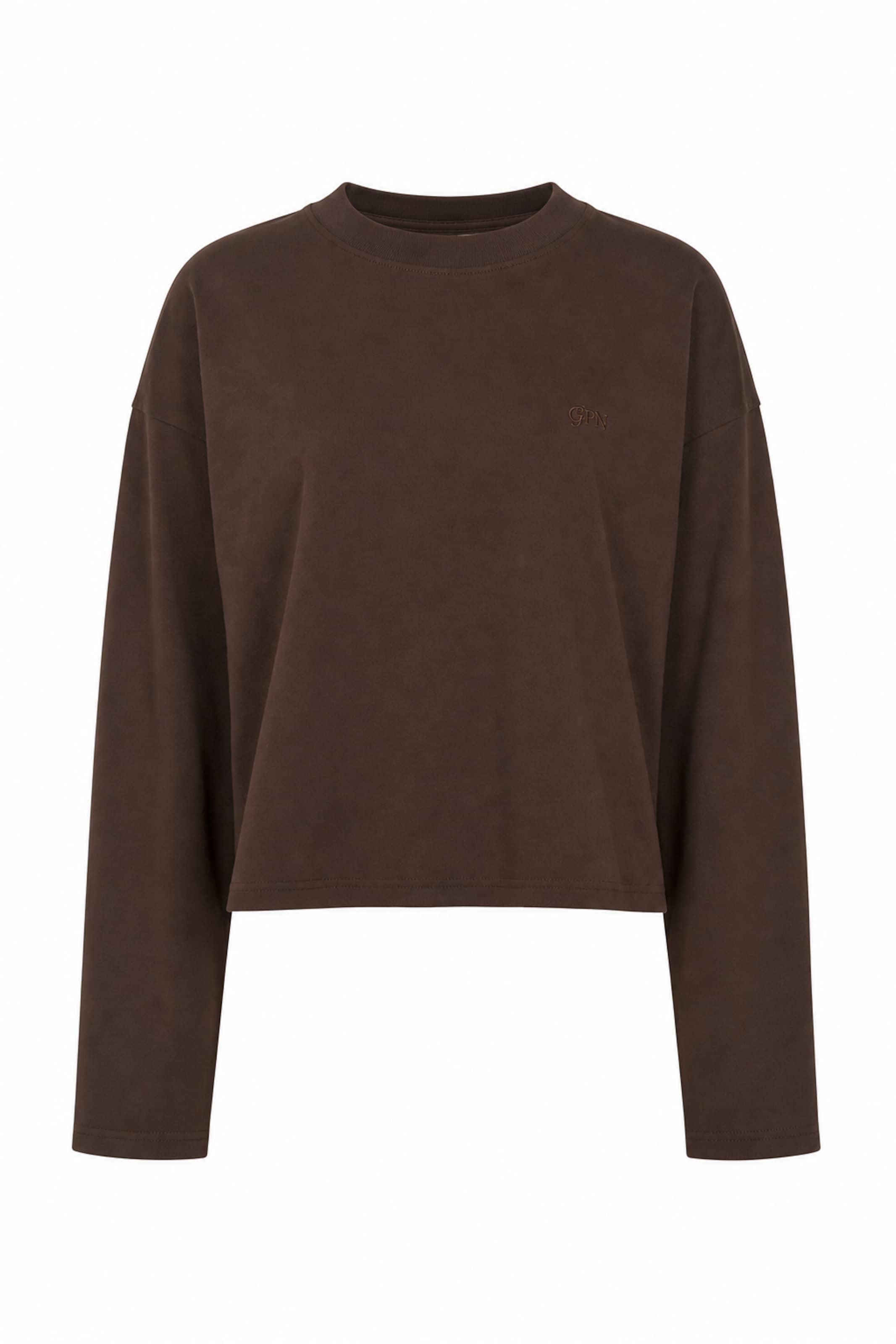 Pullover di Good For Nothing in marrone: frontale