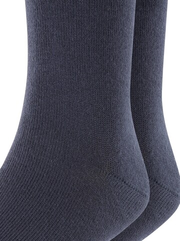 ESPRIT Socks 'Foot Logo 2-Pack' in Blue