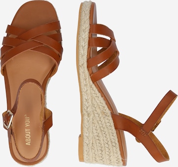 ABOUT YOU Sandalen met riem 'Mailin' in Bruin