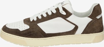 SIOUX Sneakers laag 'Tedroso-704' in Bruin