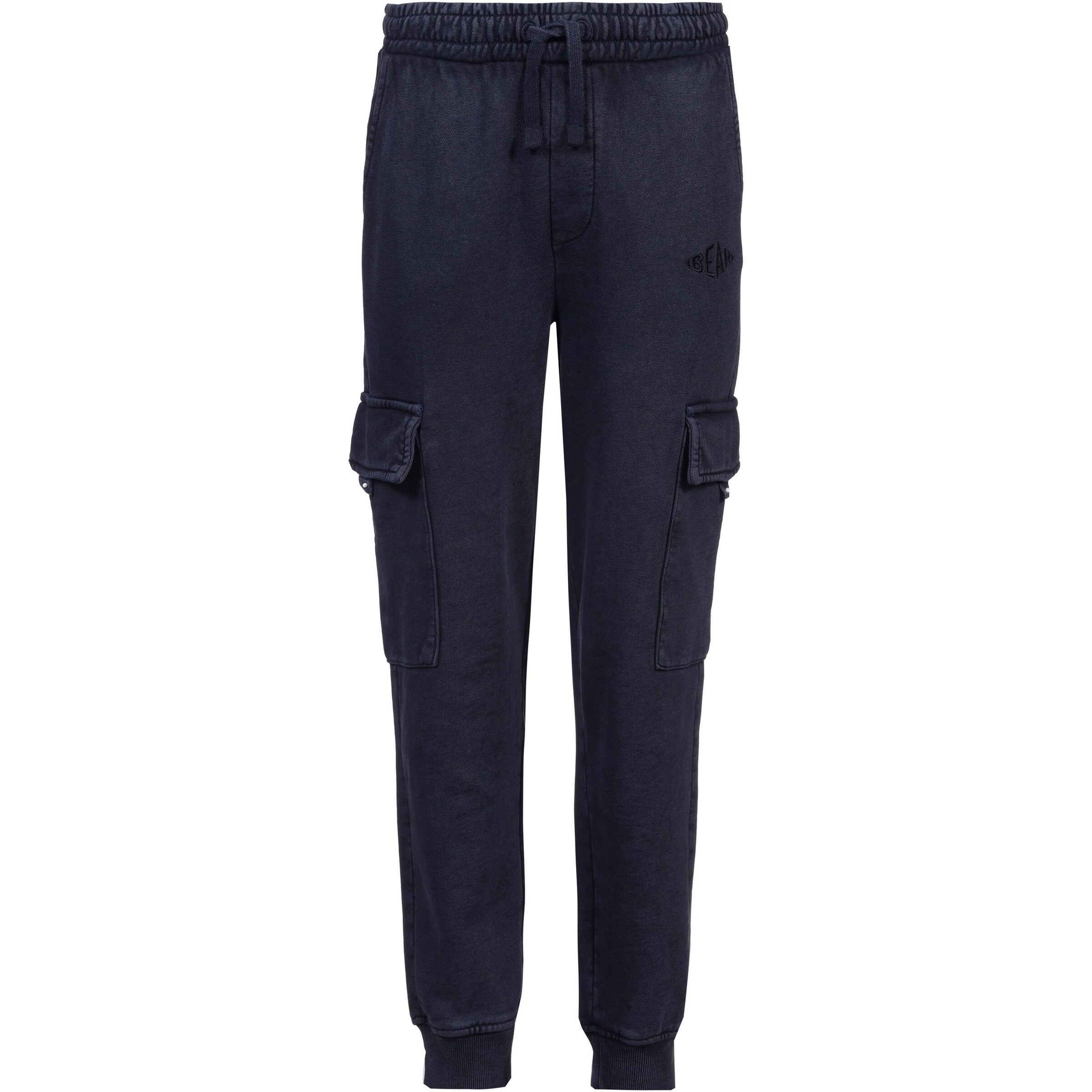 BEAR Tapered Hose in Blau: Vorderseite