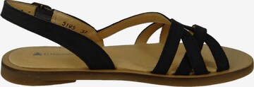 EL NATURALISTA Strap Sandals in Black