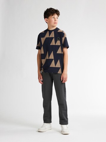 Petrol Industries Regular Trousers in Grey