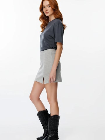 Alexa Dash Skirt in Grey