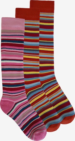 Chaussettes normani en mélange de couleurs : devant