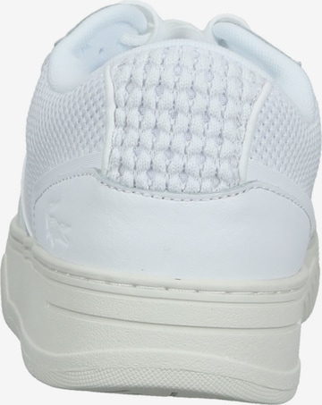 Baskets basses LACOSTE en blanc